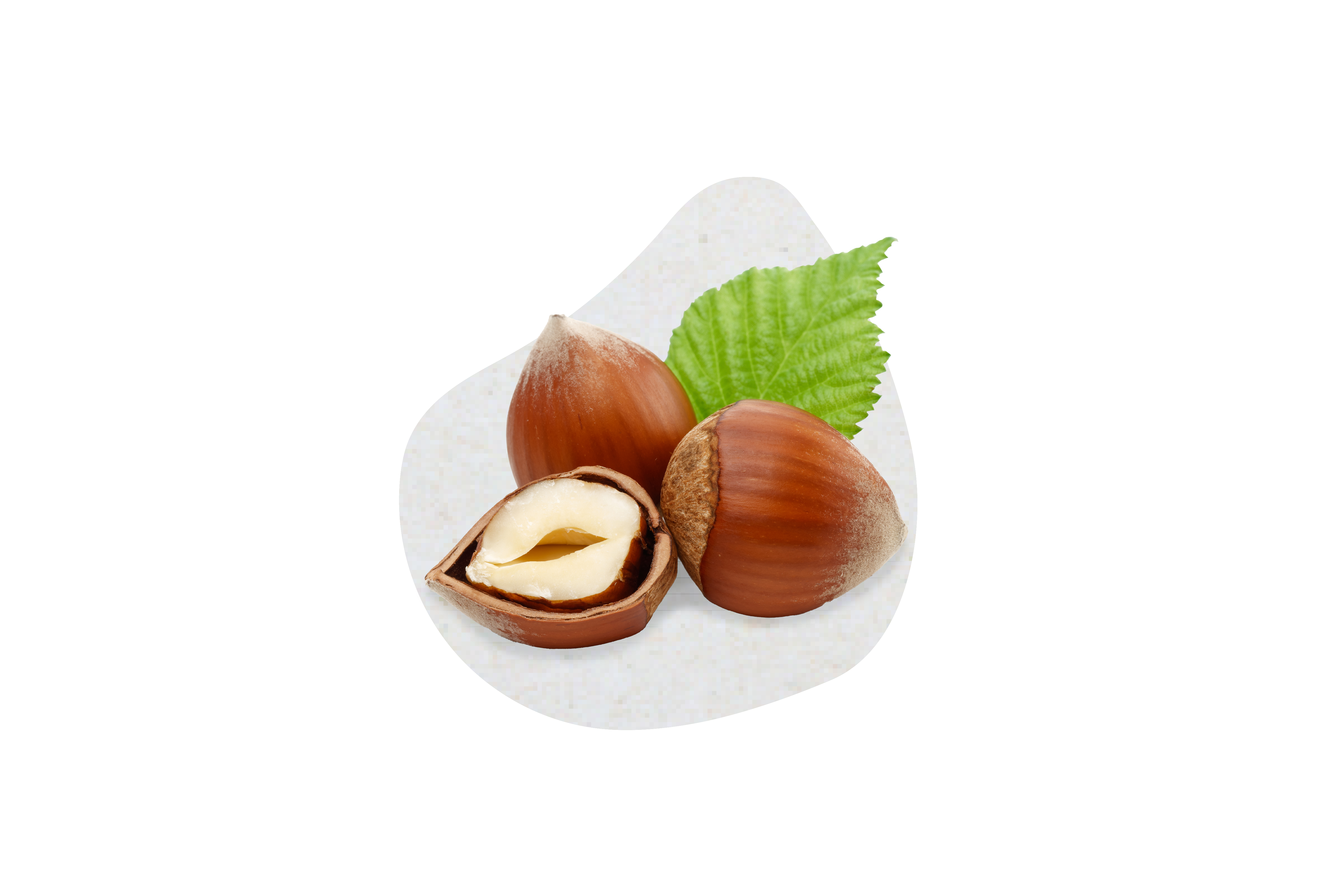 Haselnuss-Nocciola 100% Fonte Gusto (6 KG)